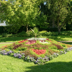 2016 Botanical Garden Cluj