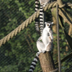 2021 - Safaripark Hodenhagen